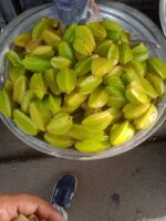 Star Fruit Plant